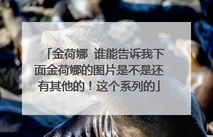 金荷娜 谁能告诉我下面金荷娜的图片是不是还有其他的!这个系列的