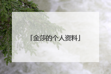 金莎的个人资料