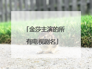 金莎主演的所有电视剧名