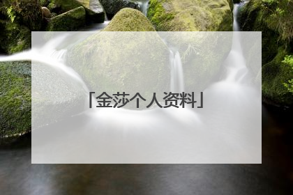 金莎个人资料