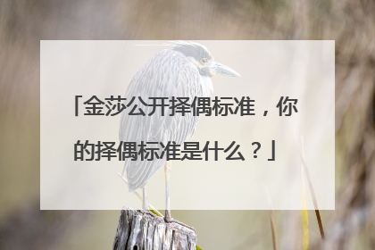金莎公开择偶标准,你的择偶标准是什么?