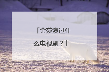 金莎演过什么电视剧?