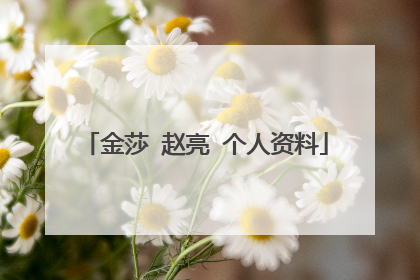 金莎 赵亮 个人资料