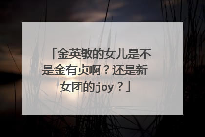 金英敏的女儿是不是金有贞啊?还是新女团的joy?