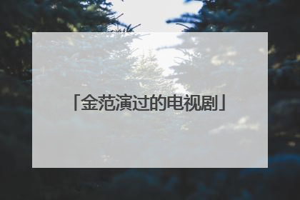 金范演过的电视剧