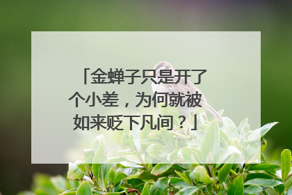 金蝉子只是开了个小差,为何就被如来贬下凡间?