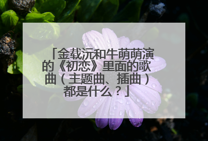 金载沅和牛萌萌演的《初恋》里面的歌曲(主题曲、插曲)都是什么?
