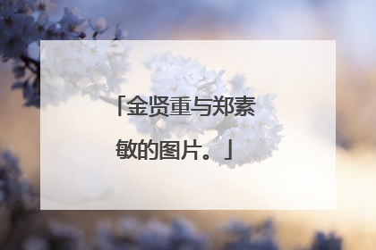 金贤重与郑素敏的图片。