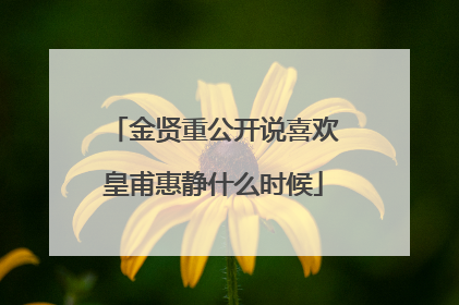金贤重公开说喜欢皇甫惠静什么时候
