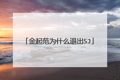 金起范为什么退出SJ