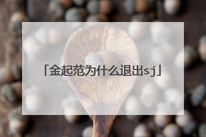 金起范为什么退出sj