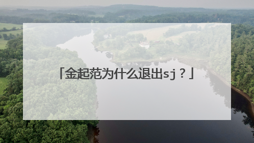 金起范为什么退出sj?