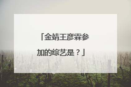 金靖王彦霖参加的综艺是？