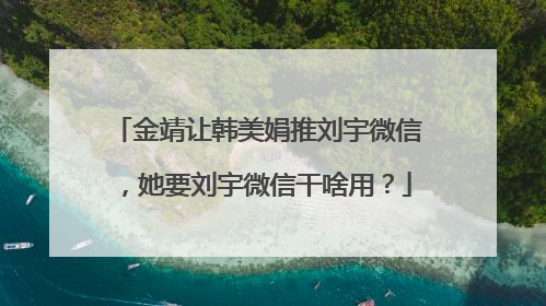 金靖让韩美娟推刘宇微信，她要刘宇微信干啥用？