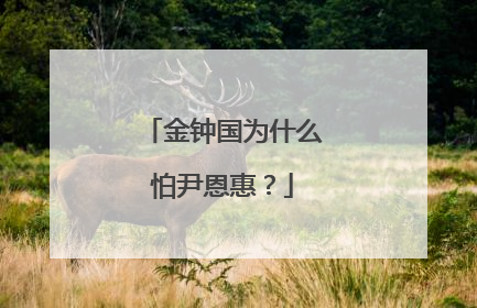 金钟国为什么怕尹恩惠?