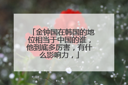 金钟国在韩国的地位相当于中国的谁，他到底多厉害，有什么影响力，