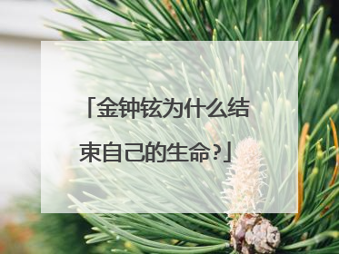 金钟铉为什么结束自己的生命?