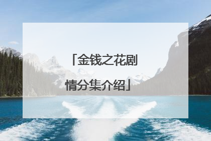 金钱之花剧情分集介绍