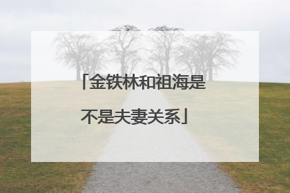 金铁林和祖海是不是夫妻关系