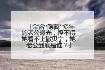 金铭“隐藏”多年的老公曝光，怪不得她看不上撒贝宁，她老公到底是谁？