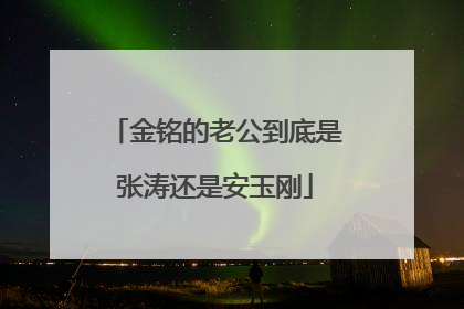 金铭的老公到底是张涛还是安玉刚