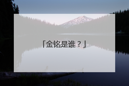 金铭是谁?