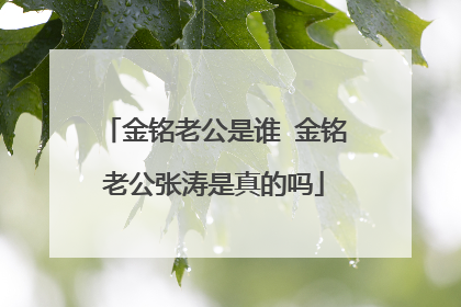 金铭老公是谁 金铭老公张涛是真的吗