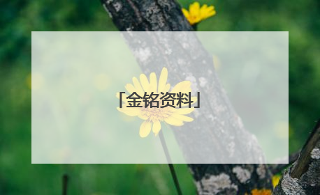 金铭资料