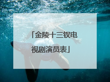 金陵十三钗电视剧演员表