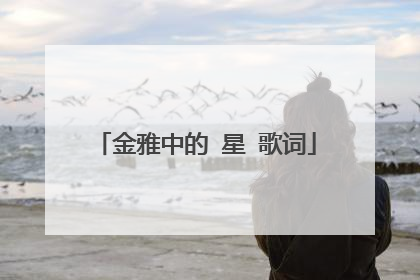 金雅中的 星 歌词