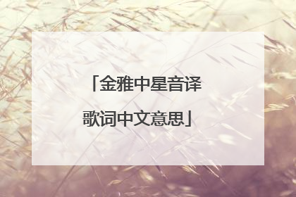 金雅中星音译歌词中文意思