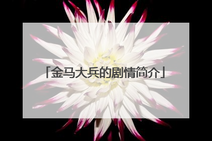 金马大兵的剧情简介