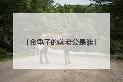 金龟子的前老公是谁