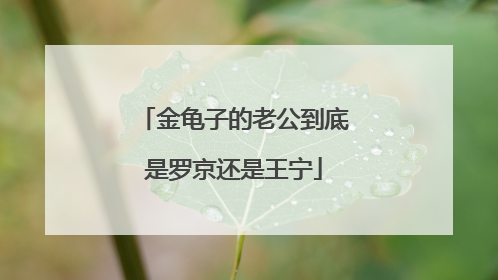 金龟子的老公到底是罗京还是王宁