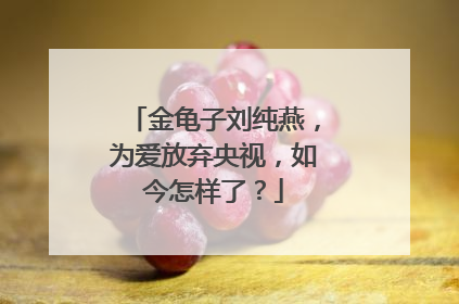 金龟子刘纯燕,为爱放弃央视,如今怎样了?