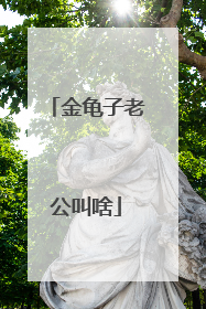 金龟子老公叫啥