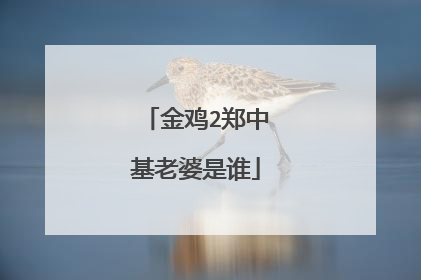 金鸡2郑中基老婆是谁