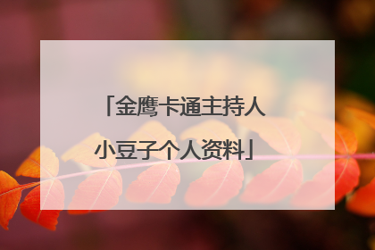 金鹰卡通主持人小豆子个人资料