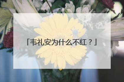 韦礼安为什么不红？