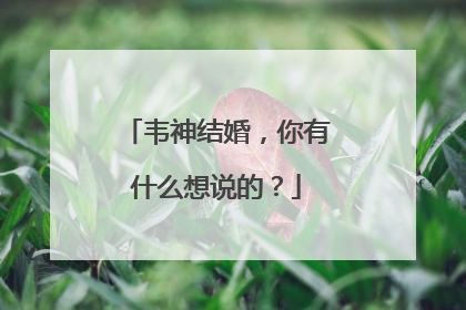 韦神结婚,你有什么想说的?