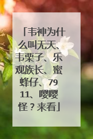 韦神为什么叫无天、韦栗子、乐观族长、蜜蜂仔、7911、嘤嘤怪？来看