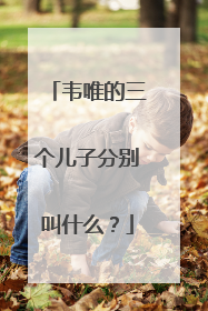 韦唯的三个儿子分别叫什么?