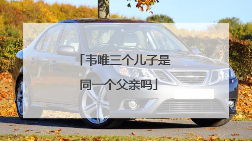 韦唯三个儿子是同一个父亲吗