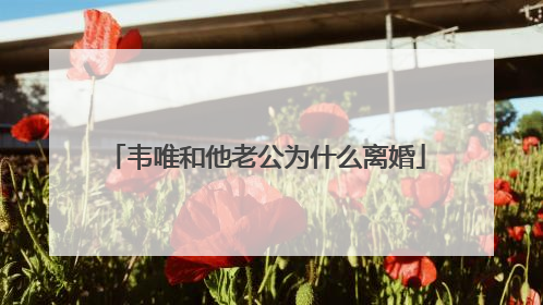 韦唯和他老公为什么离婚