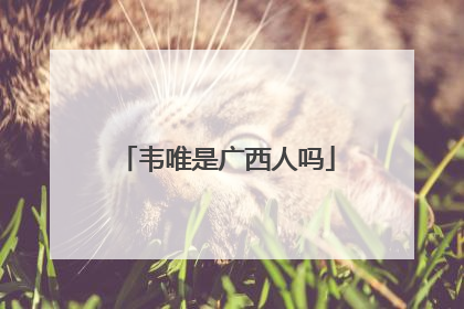 韦唯是广西人吗