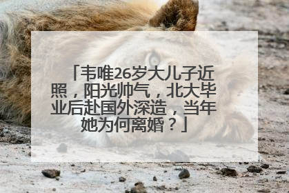 韦唯26岁大儿子近照,阳光帅气,北大毕业后赴国外深造,当年她为何离婚?