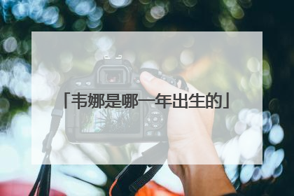 韦娜是哪一年出生的