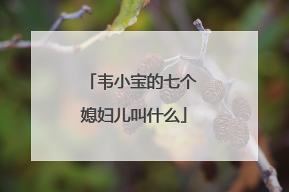 韦小宝的七个媳妇儿叫什么
