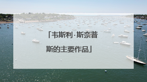 韦斯利·斯奈普斯的主要作品