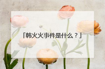 韩火火事件是什么？